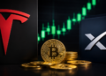 Logo de Tesla y de SpaceX, unas monedas de BTC y velas verdes.
