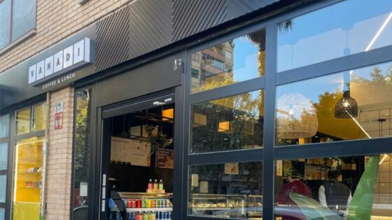 Vanadi entró en la “espiral de la muerte” tras un año de incursionar en bitcoin