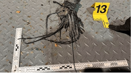 Fotografía proporcionada por el Servicio de Seguridad Interna de Estonia que muestra un cable submarino de comunicaciones dañado. El cable, que conectaba Finlandia y Estonia, se rompió en octubre de 2023. Las autoridades estonias concluyeron que el daño fue causado por el arrastre de un ancla del buque Newnew Polar Bear, de bandera china.