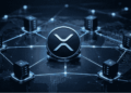 La red de Ripple.