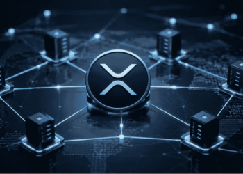 La red de Ripple.