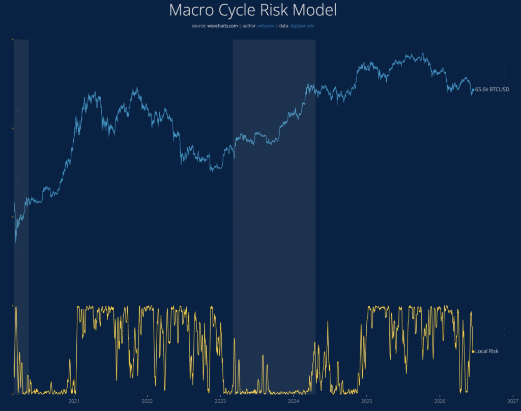 Gráfico que muestra modelo de riesgo macro compartido.
