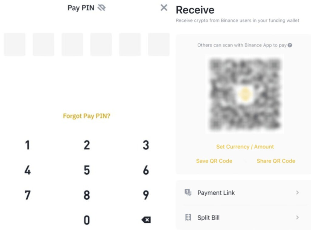 Captura de pantalla para acceder a la interfaz de BTCPayServer