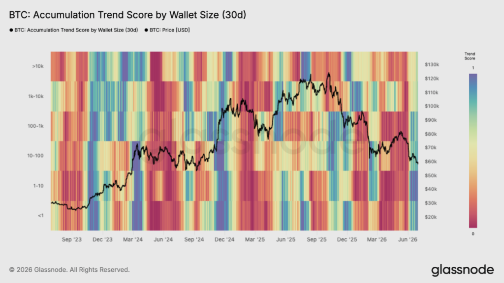 Accumulation Trend Score, de Glassnode.