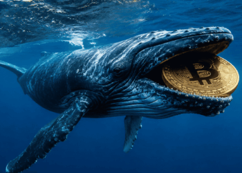 Ballena con una moneda de bitcoin en la boca.