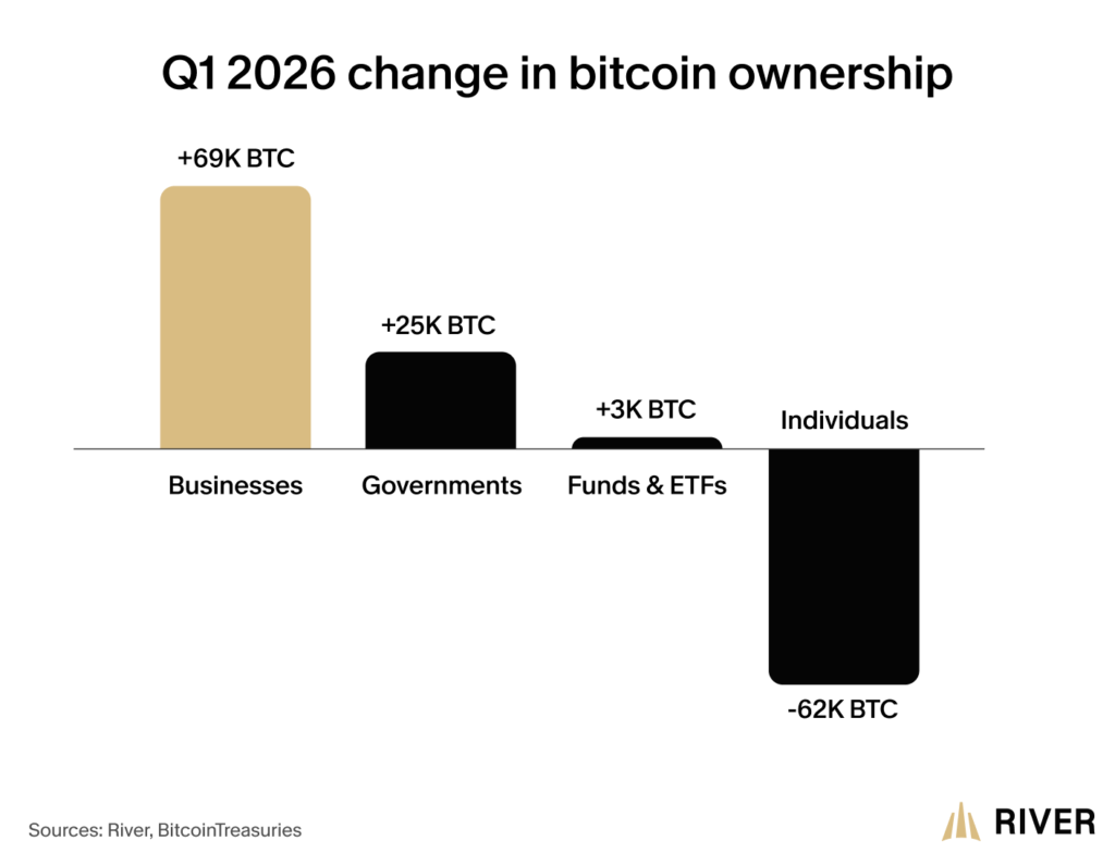 Gráfico de barras que muestra cómo los grandes inversionistas aumentar sus tenencias de bitcoin.