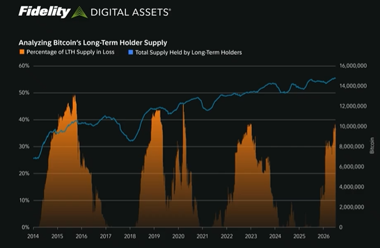 Gráfico del comportamiento cíclico de los inversores a largo plazo de bitcoin.