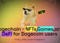 Captura de pantalla del sitio web de Dogechain.