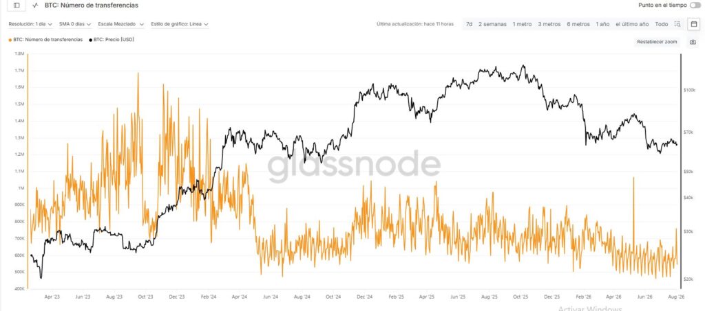 Gráfico que muestra el precio de bitcoin y el número de transferencias diarias.