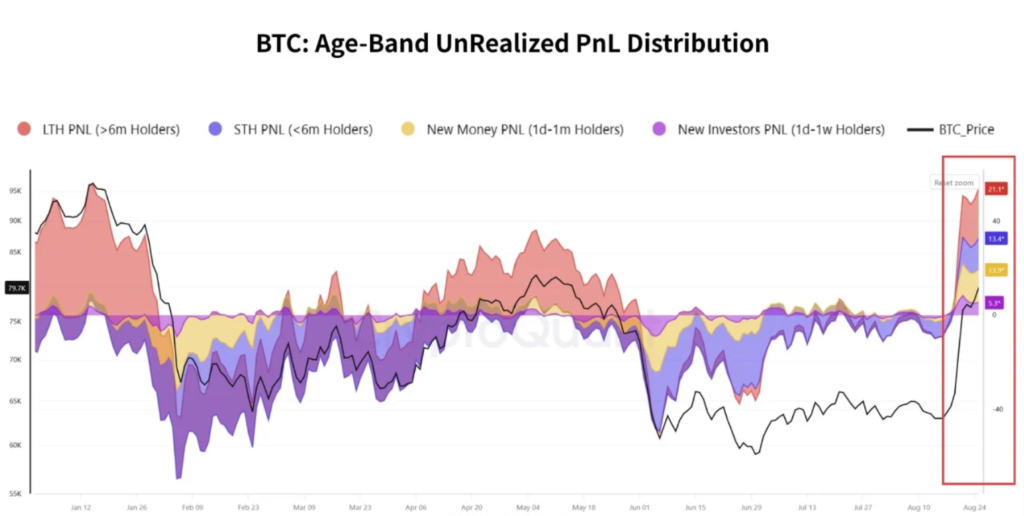 Gráfico de las ganancias y pérdidas no realizadas de diferentes tipos de inversores de bitcoin.