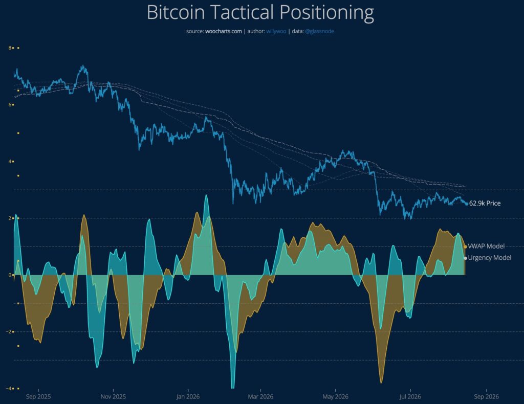 Gráfico "Bitcoin tactical positioning", por Willy Woo.