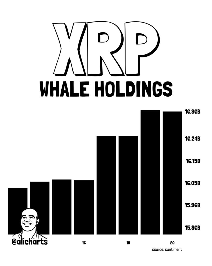 Gráfico de barras que muestra las compras de las ballenas de XRP.