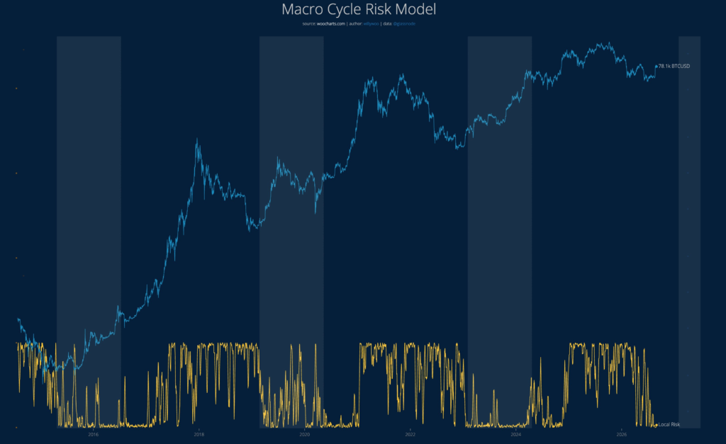 Macro Cycle Risk Model, de Willy Woo.