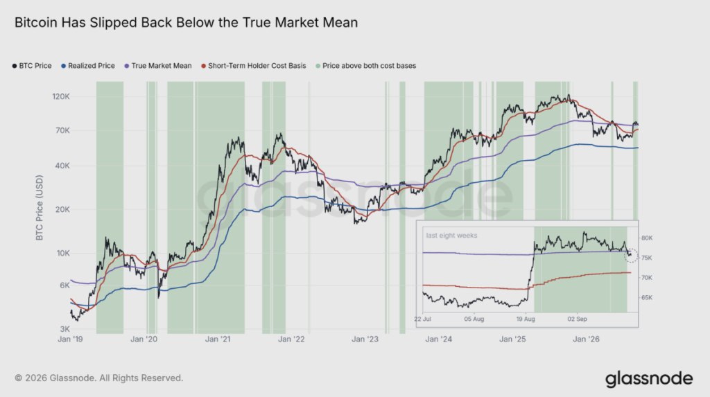 Gráfico del precio realizado de bitcoin y su cotización actual.