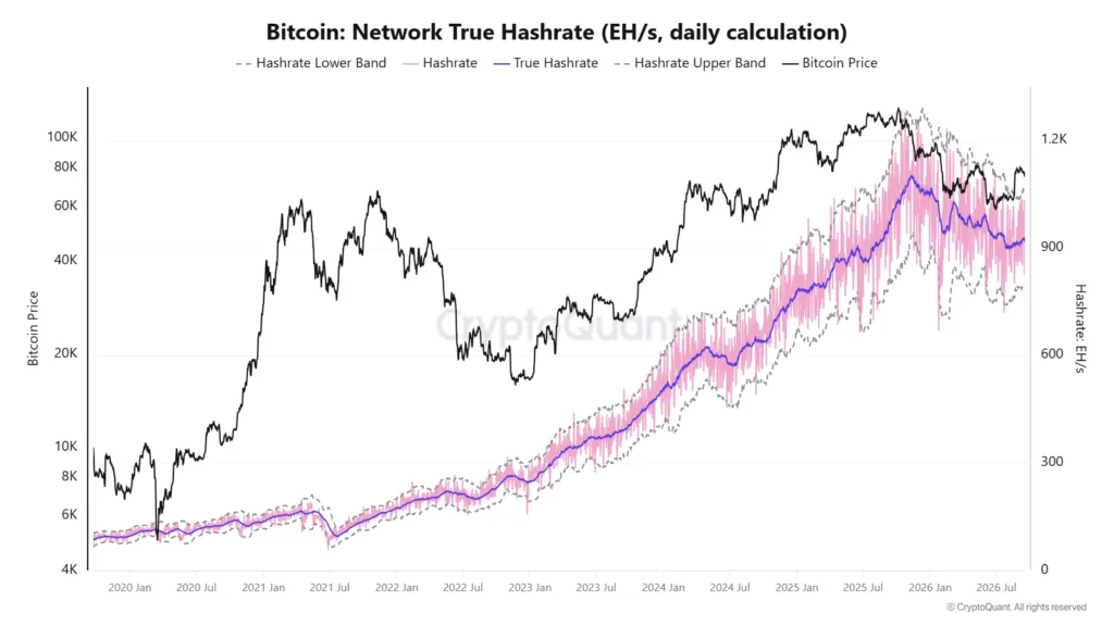 Gráfico que muestra el precio de bitcoin y actividad de la red.