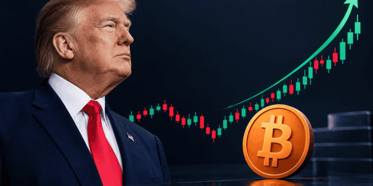 Donald Trump frente a un gráfico bursátil en ascenso y una moneda de Bitcoin.