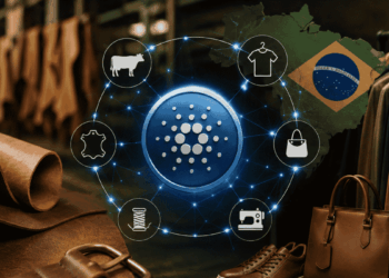Imagen que representa la trazabilidad de la industria de la moda brasilera.