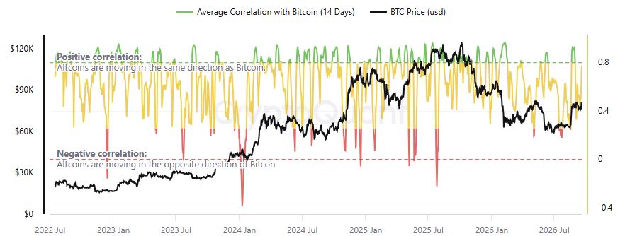 Gráfico que muestra la correlación de bitcoin y las altcoins en los últimos 14 días.