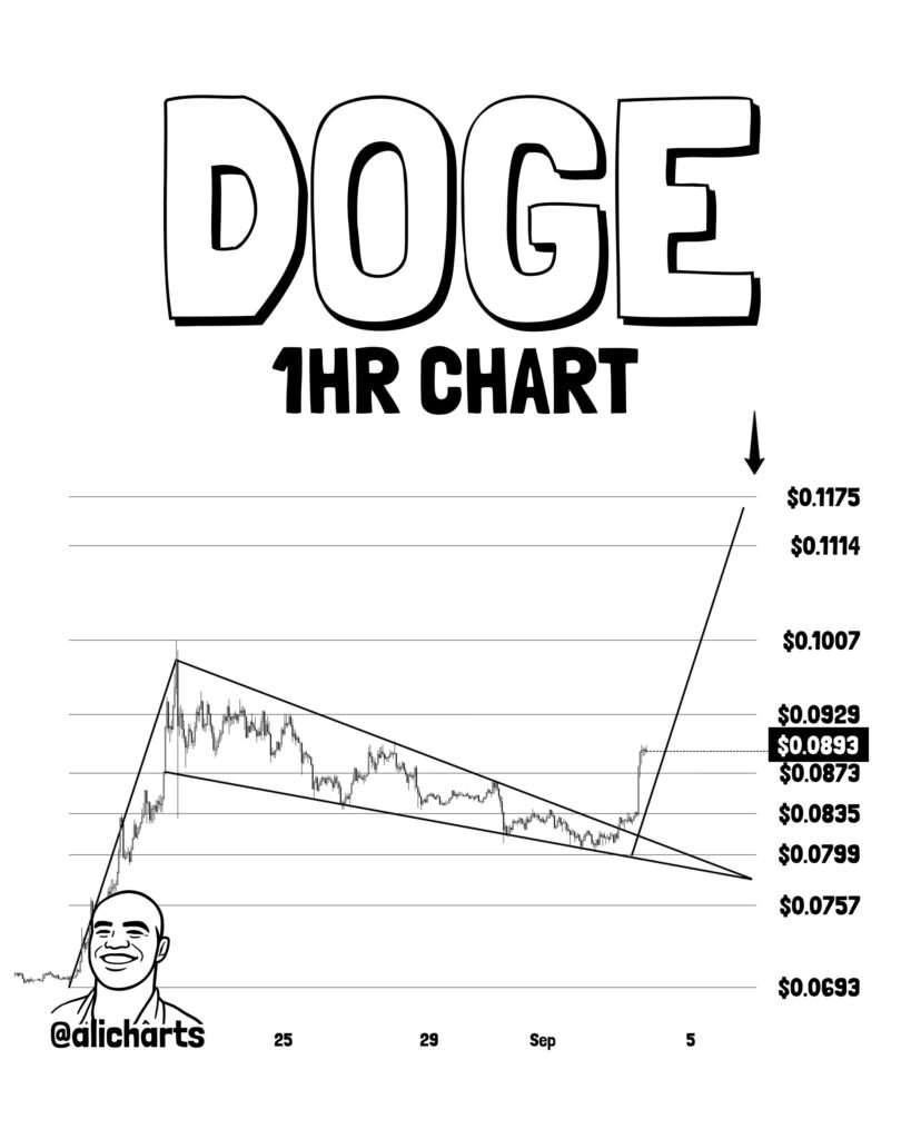 Gráfico del precio de dogecoin.