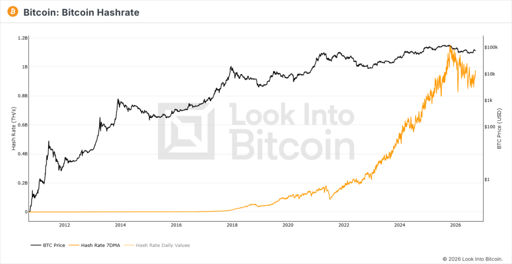 Gráfico histórico del precio de bitcoin y el hashrate.