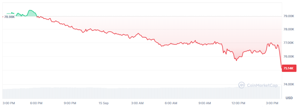 Gráfico del precio de bitcoin en las últimas 24 horas.