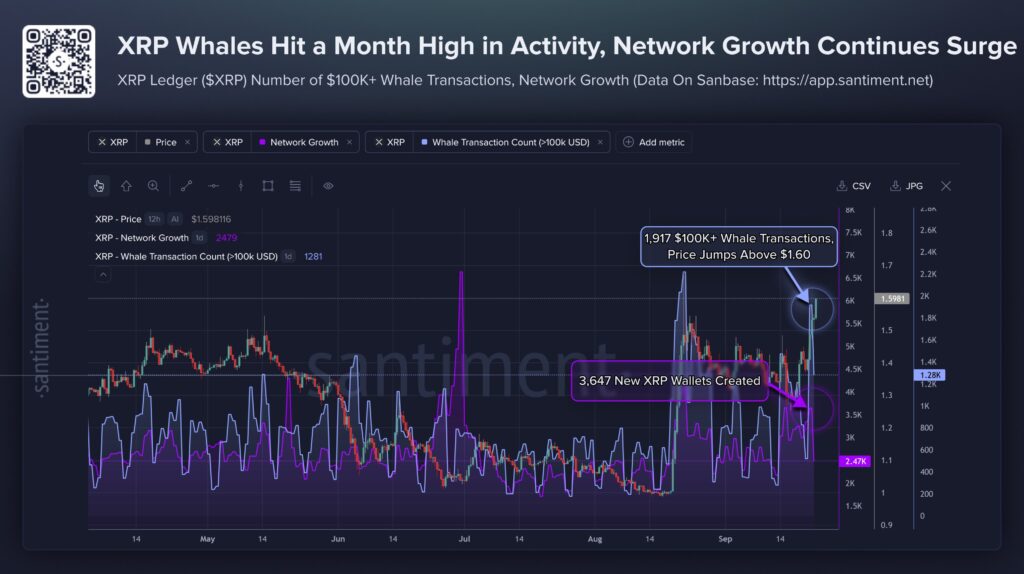 Gráfico que muestra el precio de XRP y las compras de ballenas de esta criptomoneda.