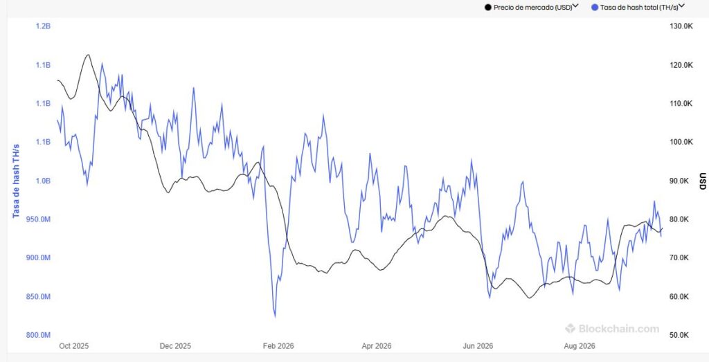 Gráfico que muestra el precio de bitcoin y el hashrate de bitcoin.