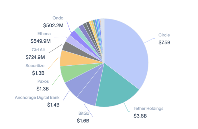 Gráfico con los principales proveedores de infraestructura, donde aparecen Circle, BitGo y Tether Holdings.