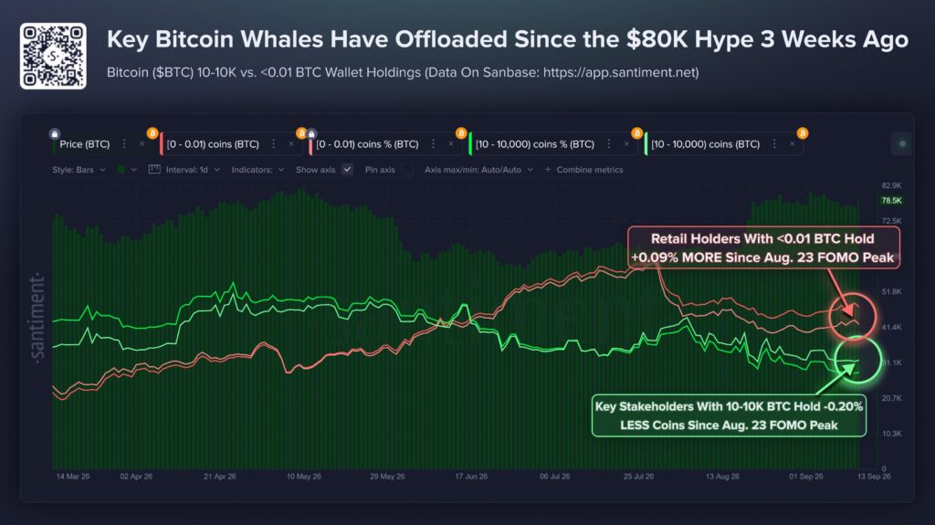 Gráfico de divergencia de comportamiento en el mercado de bitcoin entre los pequeños y grandes inversores.