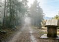 Camino empañado con niebla y al final un documento legislativo que dice "Ley Clarity", la niebla disipada.