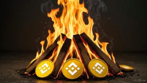 Una imagen horizontal realista que muestra monedas de BNB ardiendo en una hoguera.