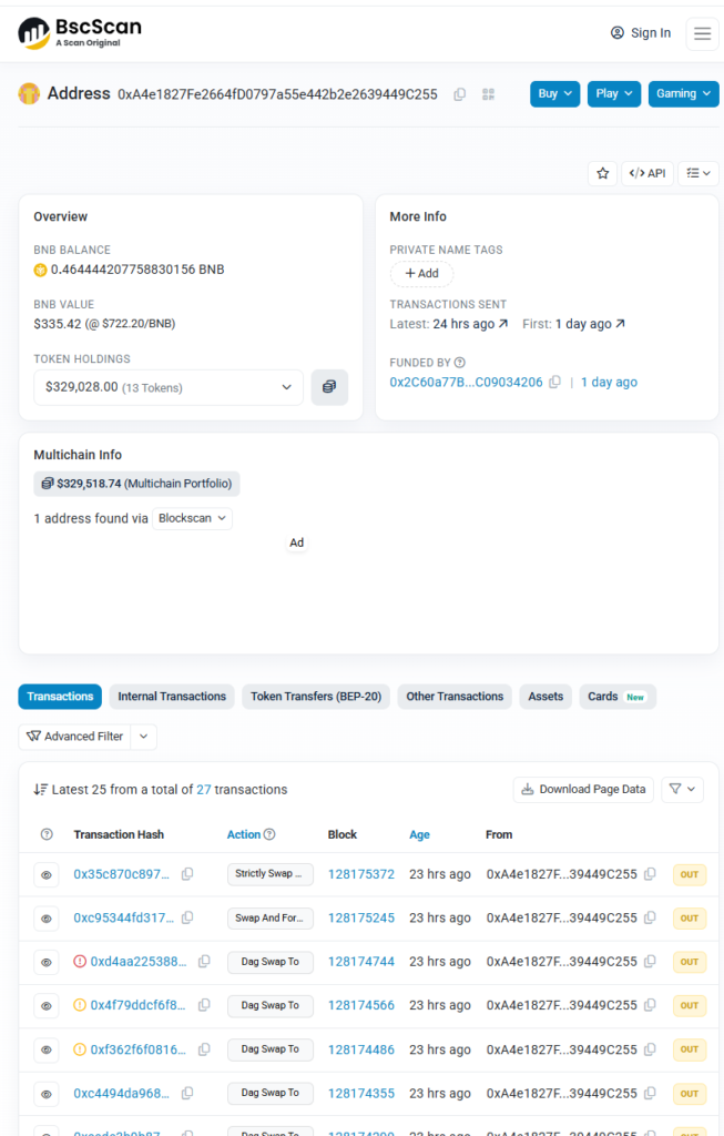 Datos de transacciones en la red de criptomonedas BNB Chain.
