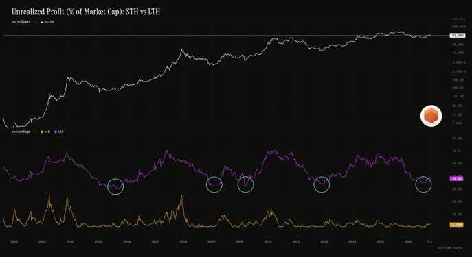 Gráfico con datos de las tenencias de los holders de bitcoin.