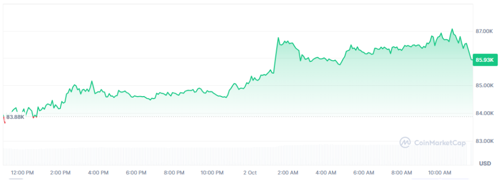 Gráfico del precio de bitcoin en las últimas 24 horas.