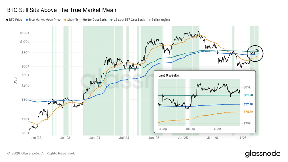 Gráfico de Glassnode donde se aprecia el precio de bitcoin y el valor de los ETF.