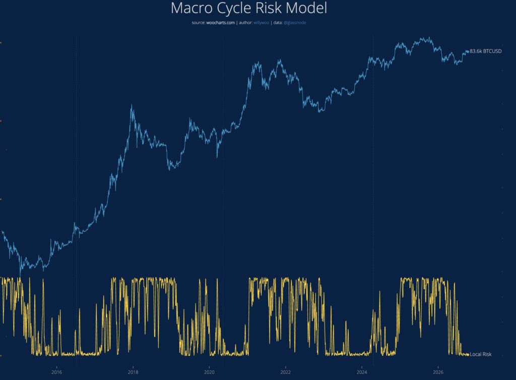Macro Cycle Risk Model, de Willy Woo.