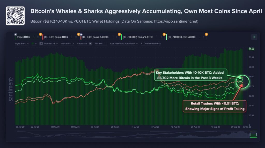 Gráfico de Santiment que muestra la masiva acumulación de bitcoin.