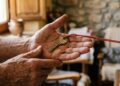 primer plano de las manos de una persona mayor, curtidas por el trabajo, sosteniendo la llave de una casa sobre la palma abierta. De la llave sale un cordón rojo fino que se tensa hacia fuera del encuadre, sujeto a un sello de lacre oficial apenas visible en el borde. Luz natural de ventana, tonos ocres y grises, fondo desenfocado de un salón sencillo.