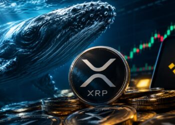 Moneda de criptomoneda XRP de Ripple junto a una ballena bajo el agua y gráficos del mercado.