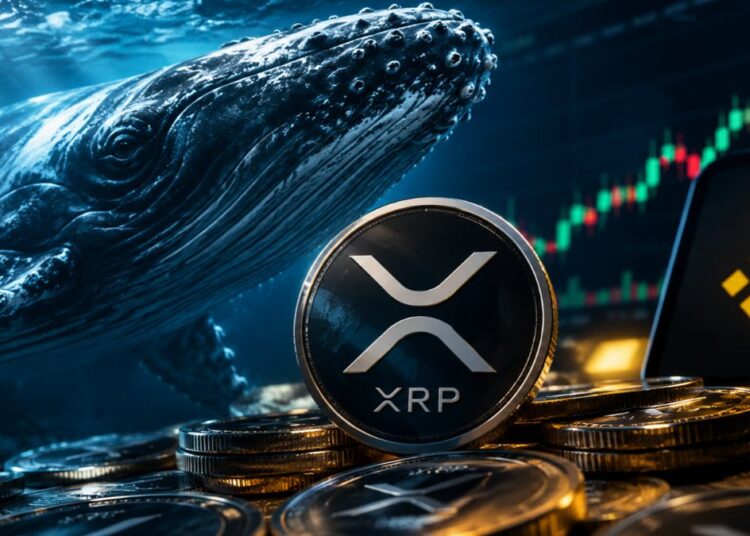 Moneda de criptomoneda XRP de Ripple junto a una ballena bajo el agua y gráficos del mercado.